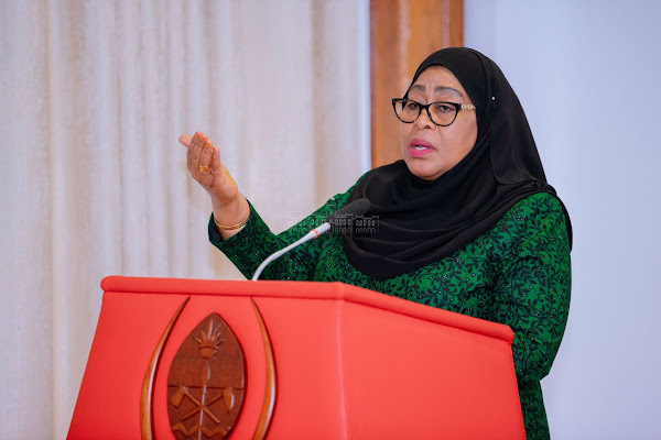 Tanzania: ‘Advance gas research initiatives’ – Pres Samia