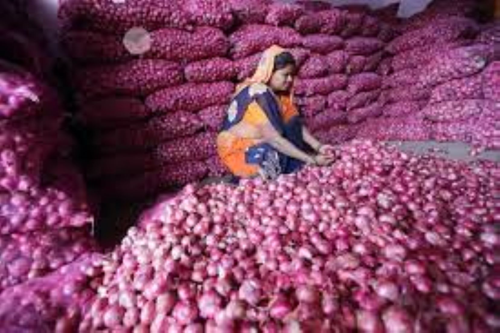 Indian Gov’t Extends Ban On Onion Export