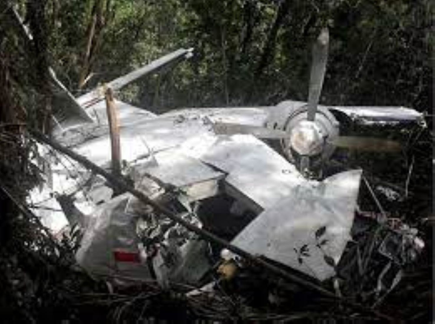 Small Plane Crashed In Kalimantan