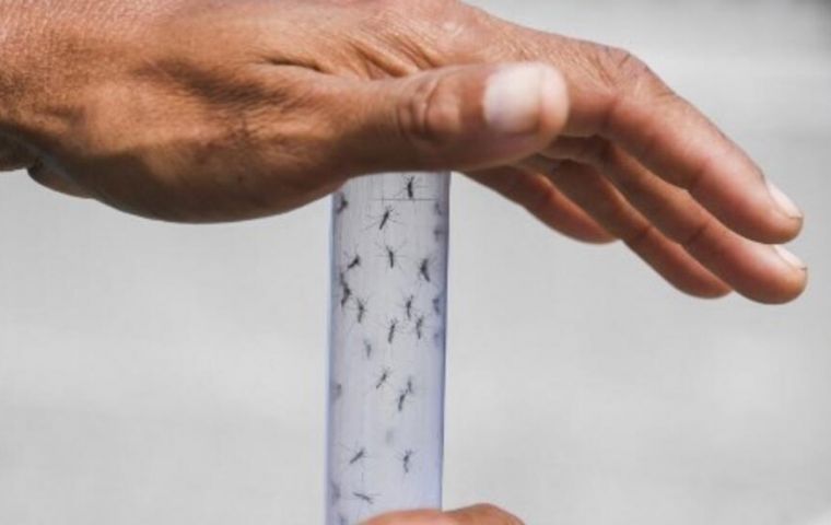 Dengue kills over 1,000 people in Brazil so far this year