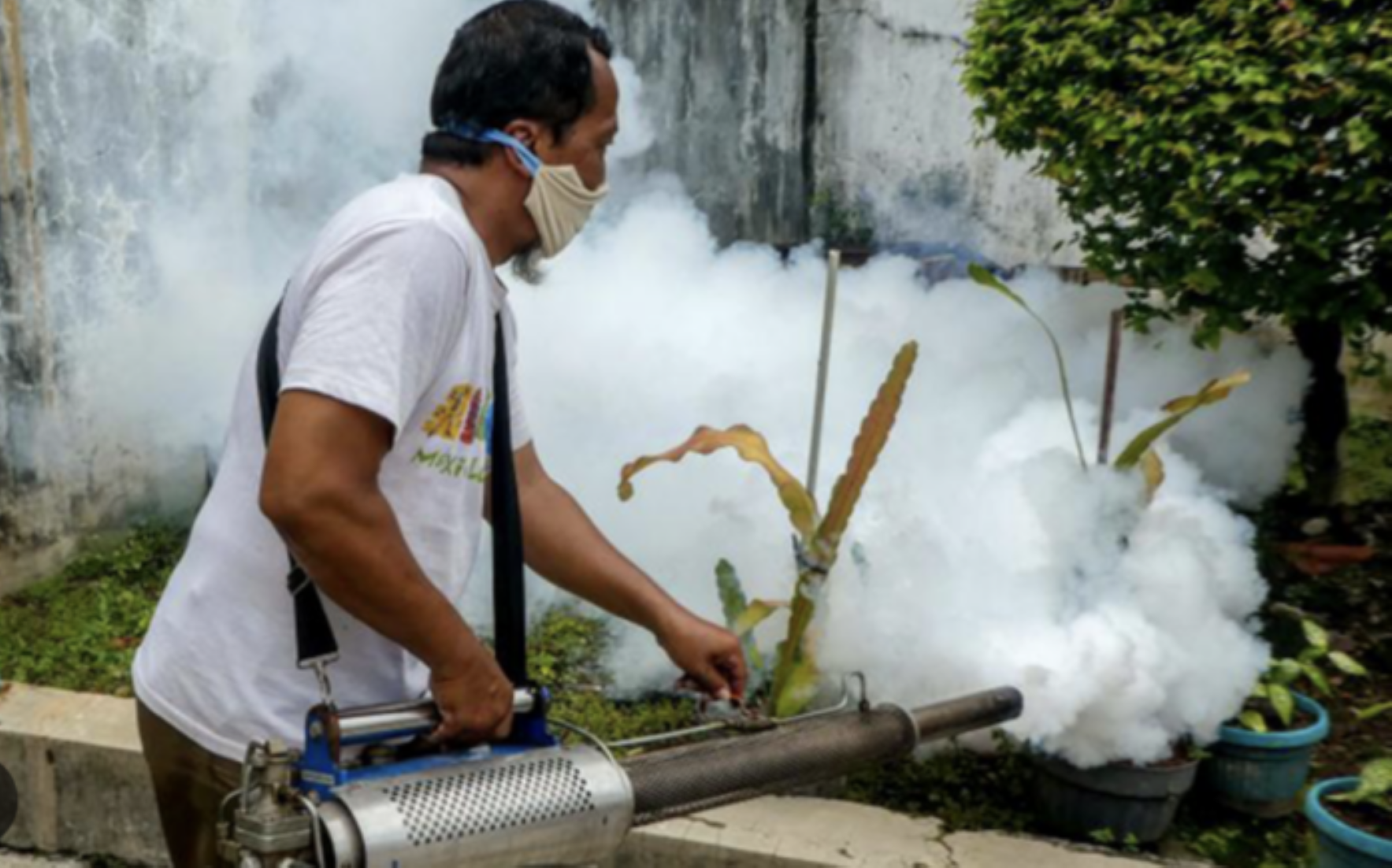 Indonesia Sees Dengue Cases Surged In Q1