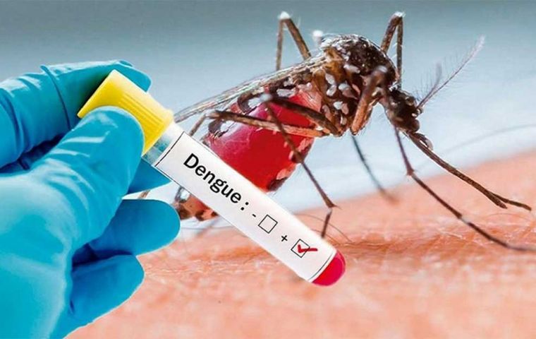 Uruguay reports 224 case of dengue disease transmitted by mosquitoes