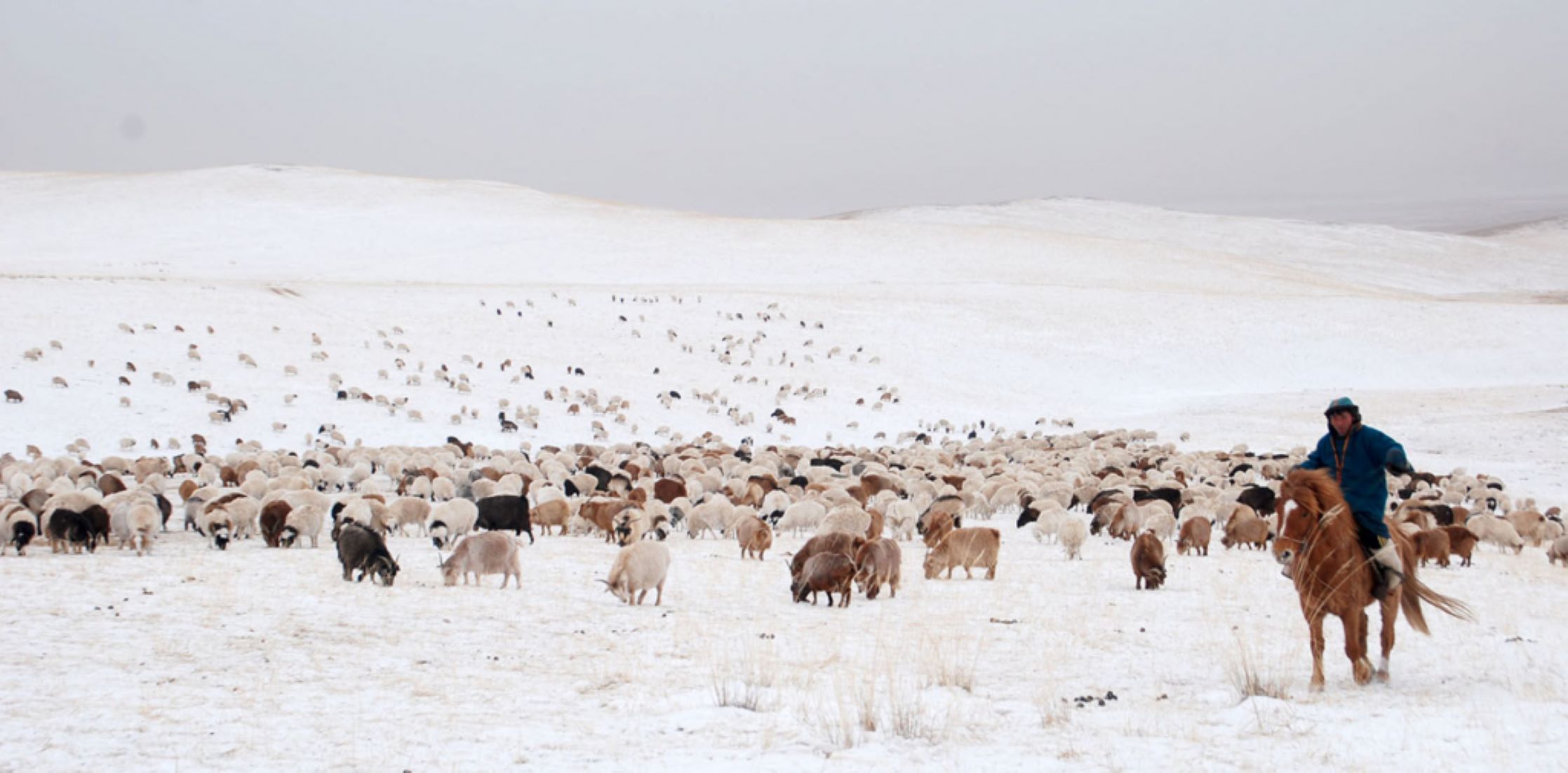 30 Percent Of Mongolian Territory Still Covered By Snow