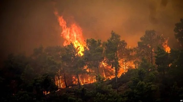 Greece raises wildfire alert level after spate of blazes