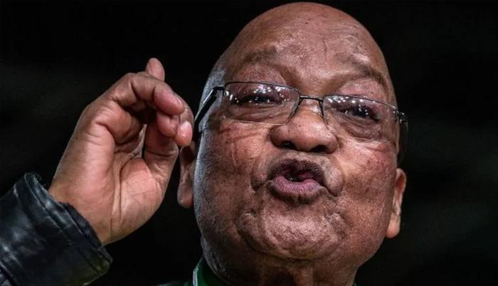 South Africa: Constitutional Court hears former president Zuma election challenge