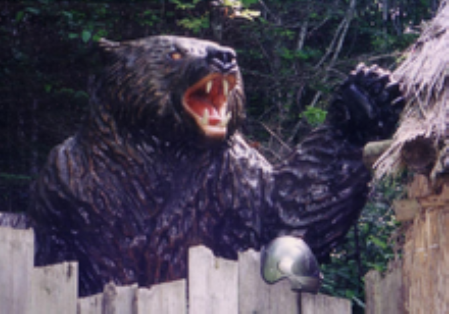 Bear Attack In Northern Japan Leaves Two Police Officers Seriously Injured