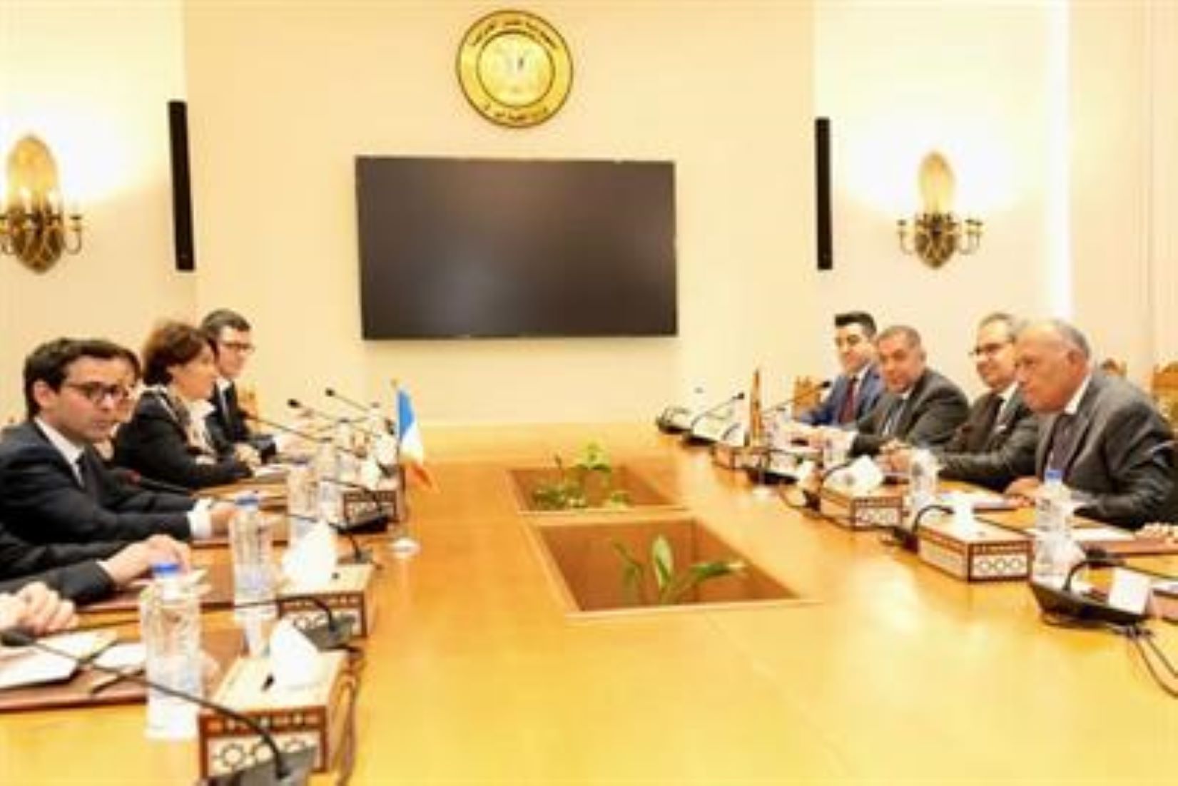 Egyptian, French FMs Discussed Gaza Developments, Truce Proposal