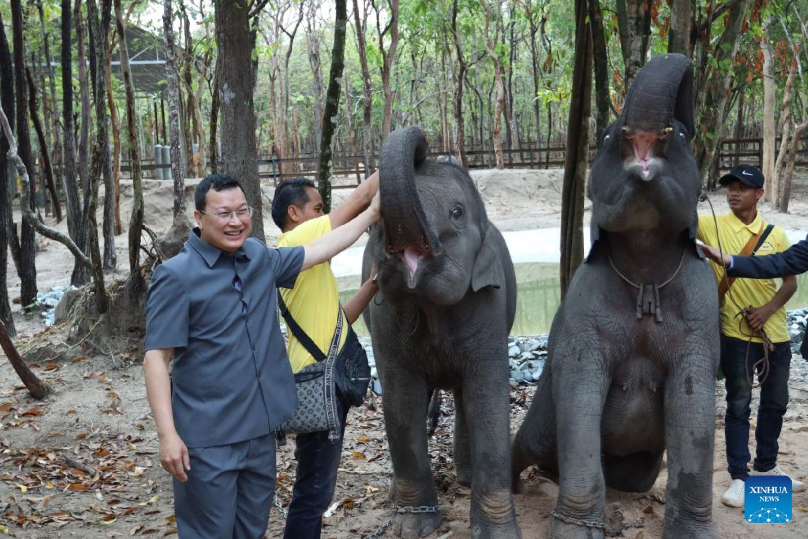 Laos Donates Pair Of Asian Elephants To Cambodia