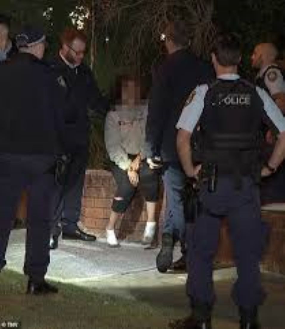 Woman Arrested After Man Fatally Stabbed In Sydney Home