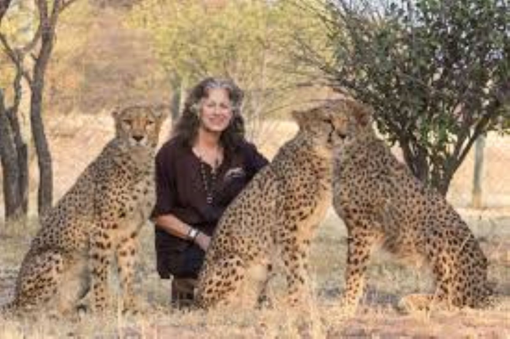 Global Charities Launch Awareness Campaign To Protect Cheetahs In Somalia