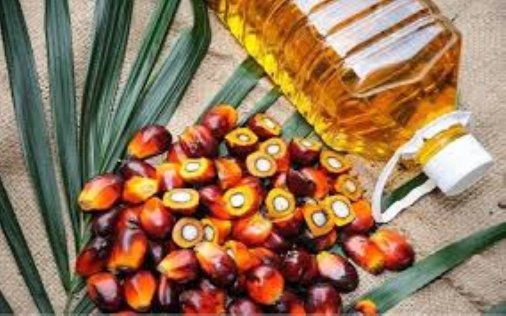 Malaysia’s Palm Oil Stocks Up 1.85 Percent In Apr