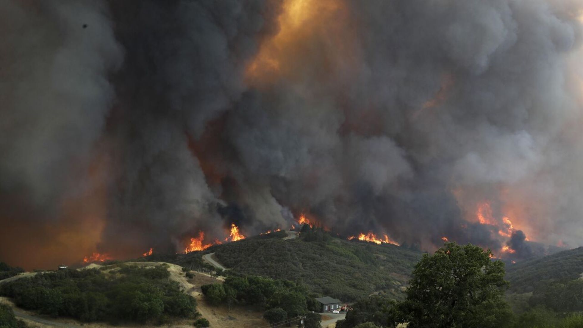 Wildfires In California Cause 52,000 Early Deaths In Decade: Study