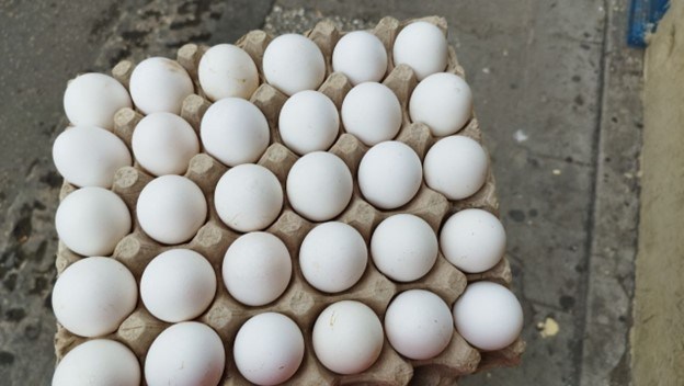 Colombia plans to export 40 million eggs to Cuba in 2024