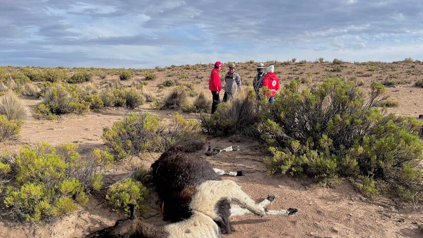 Drought, frost displace 13,000 families in Bolivia