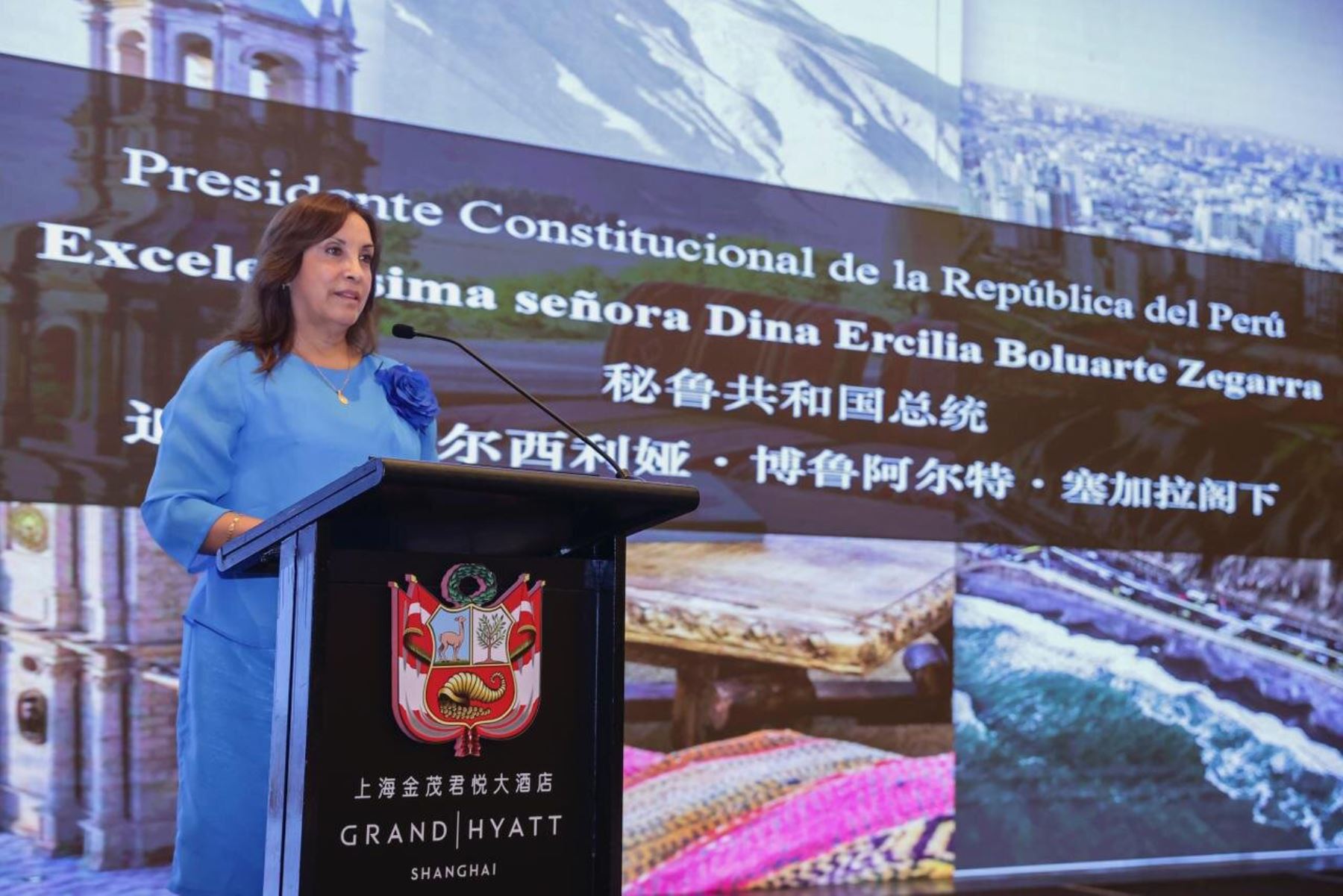 President Boluarte invites Chinese investors to become part of Peru’s development