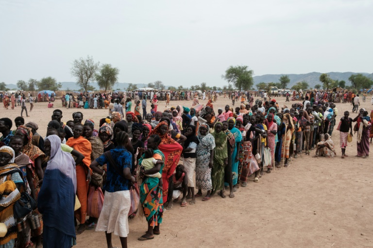 Over half of Sudanese face ‘acute food insecurity’: UN Report