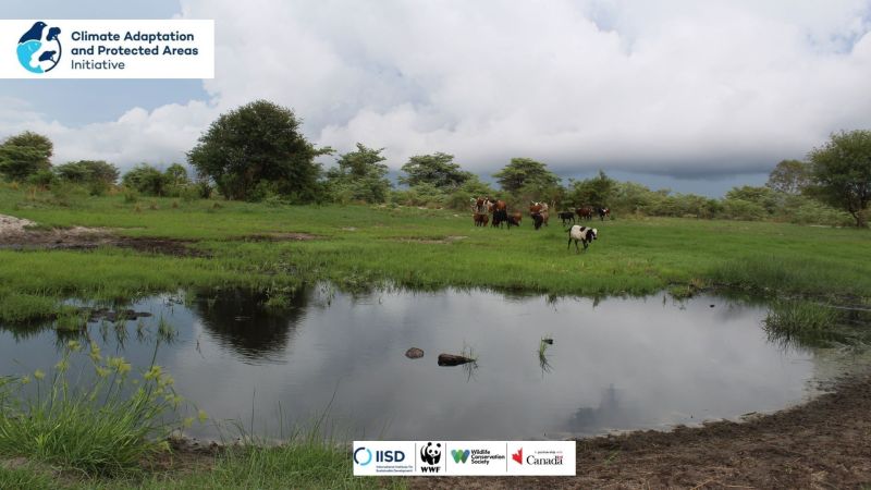 WWF partners with Zambia to implement 2 climate adaptation projects