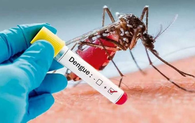 Considerable increase in dengue cases in Argentina