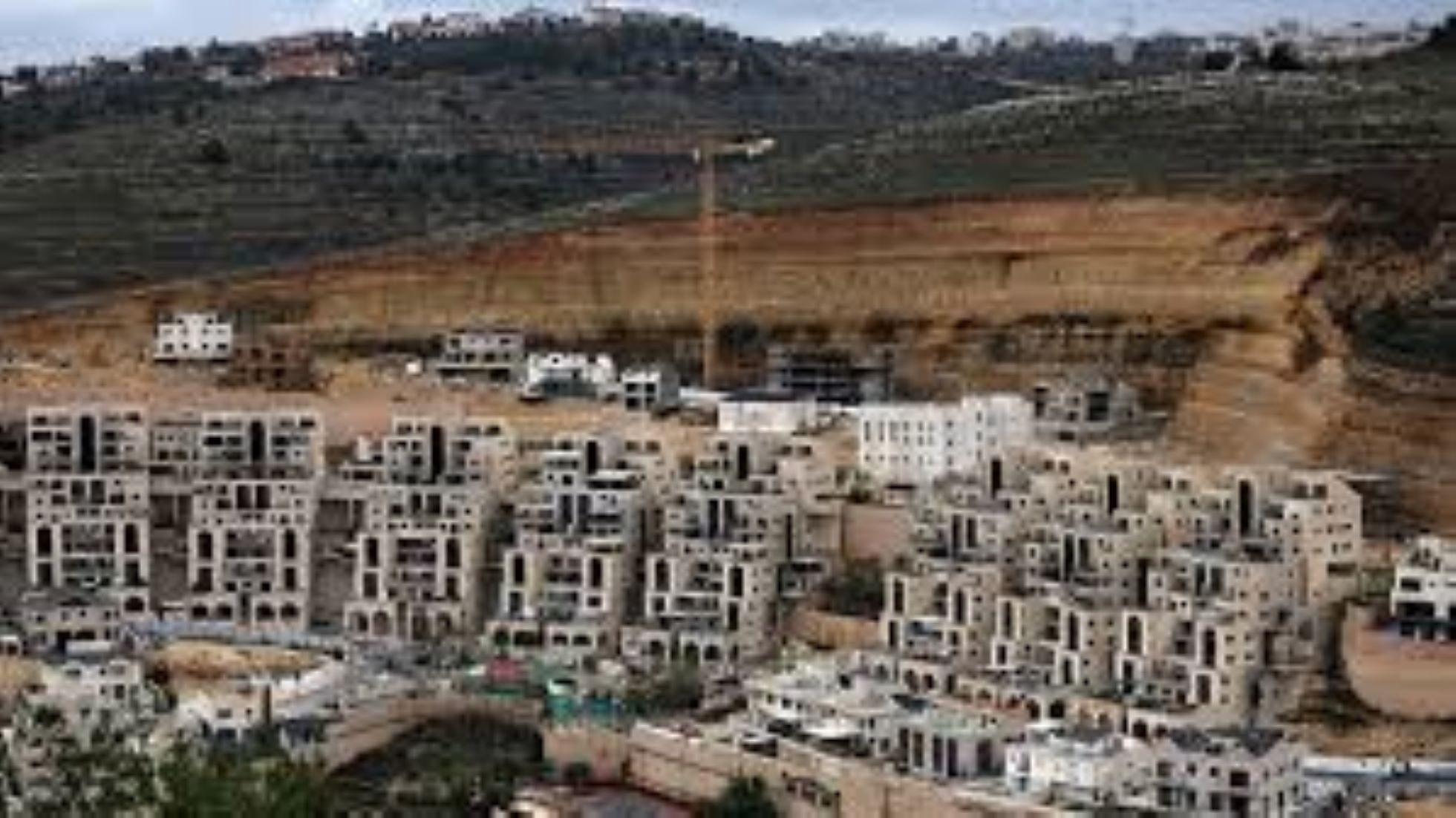 Arab League Slams Israel’s Plan Of Legalising Settlement Outposts In West Bank
