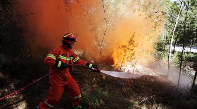 Greece heatwaves: Early fires an ominous summer warning, says experts