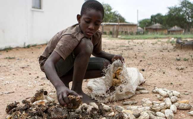 Zimbabwe drought: Children crying from hunger