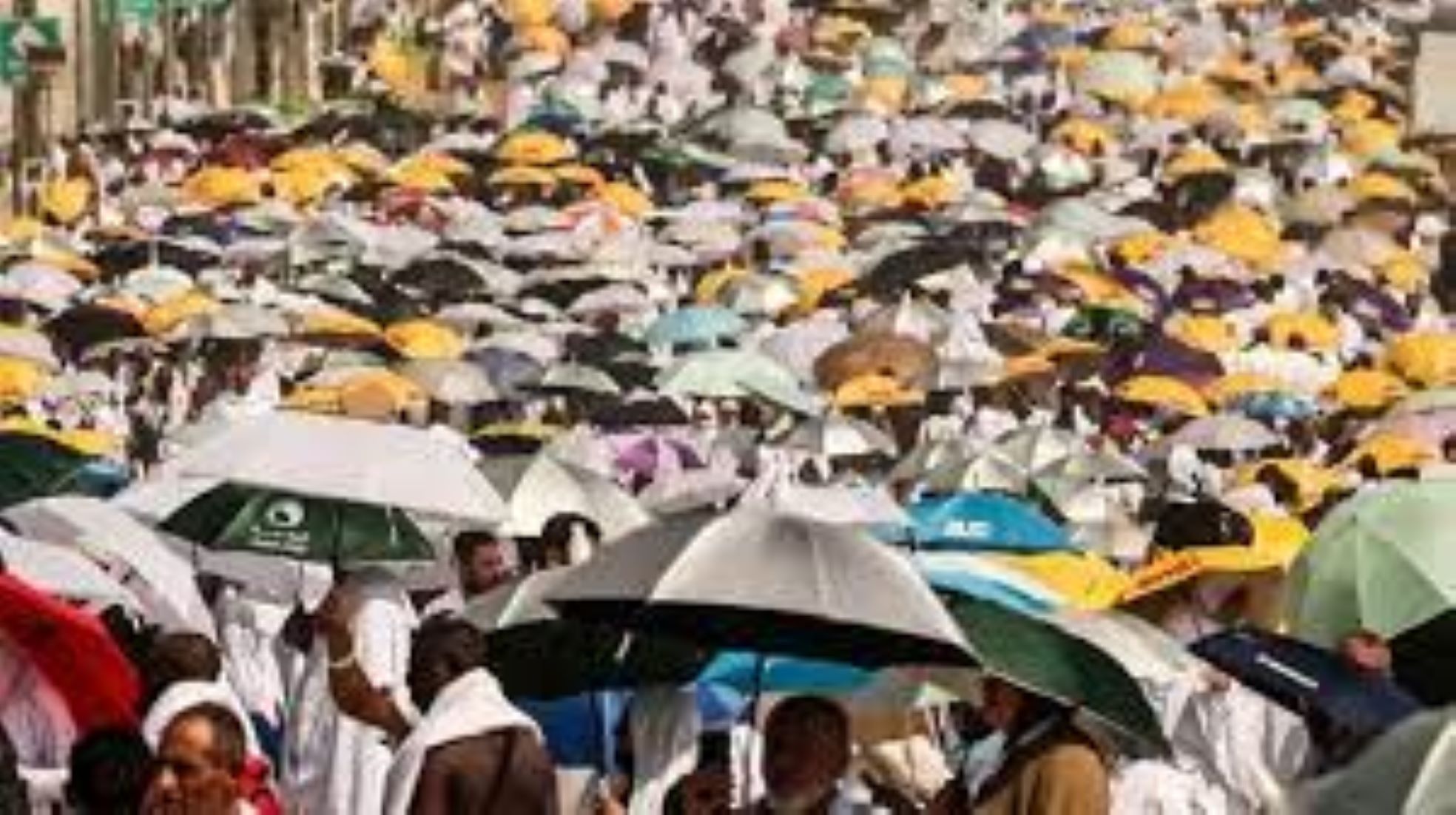Egypt Cracks Down On Travel Agencies Over Hajj Trip Frauds