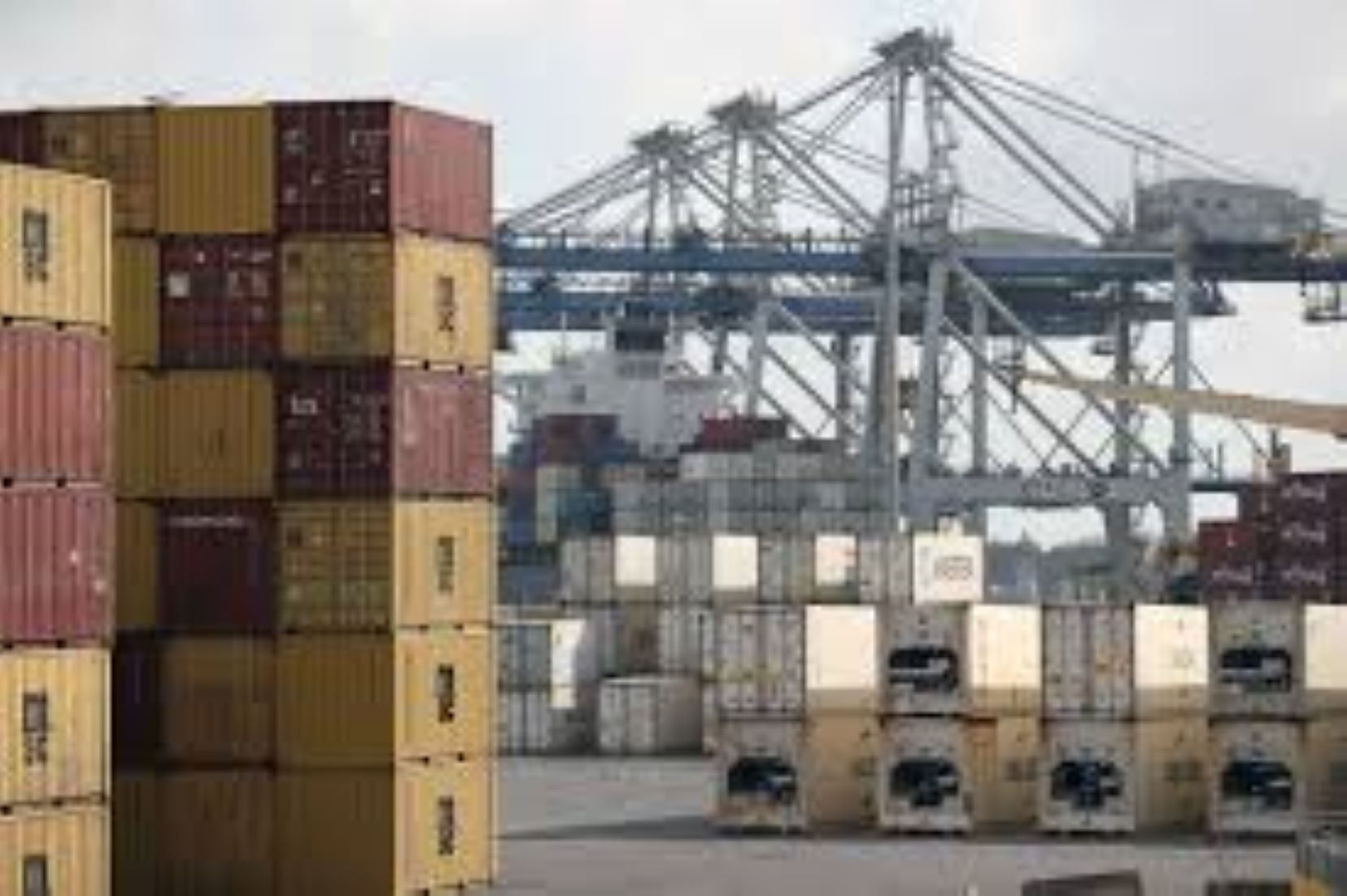 New Zealand Exports Hit Record Last Month