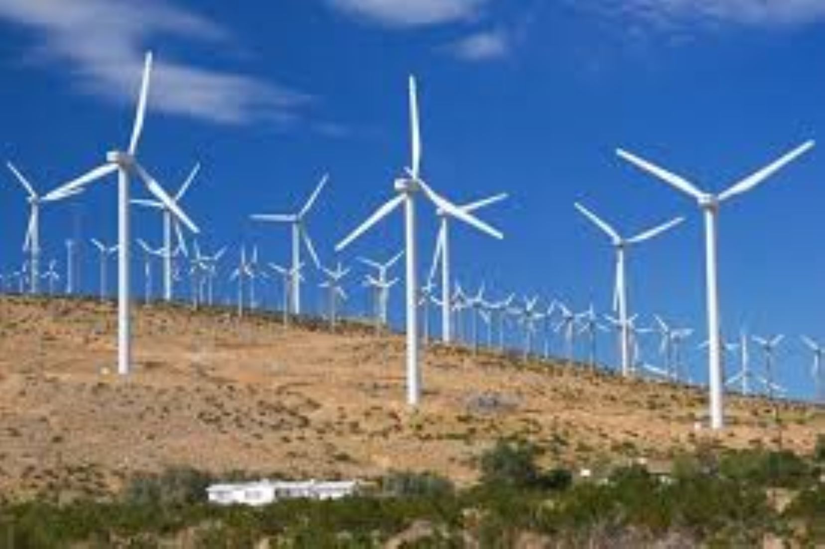 Iran Inaugurates Major Wind Farm In SE Province