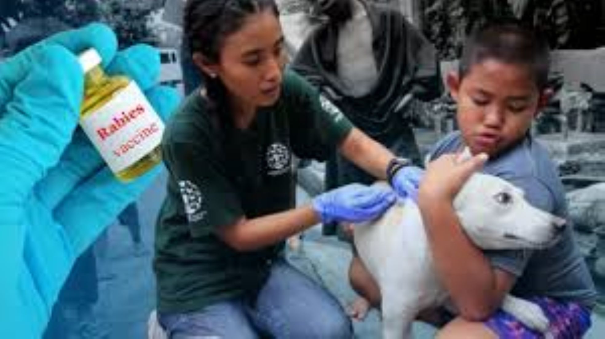 Philippines Tallies 169 Rabies Cases, 160 Deaths Since Jan This Year