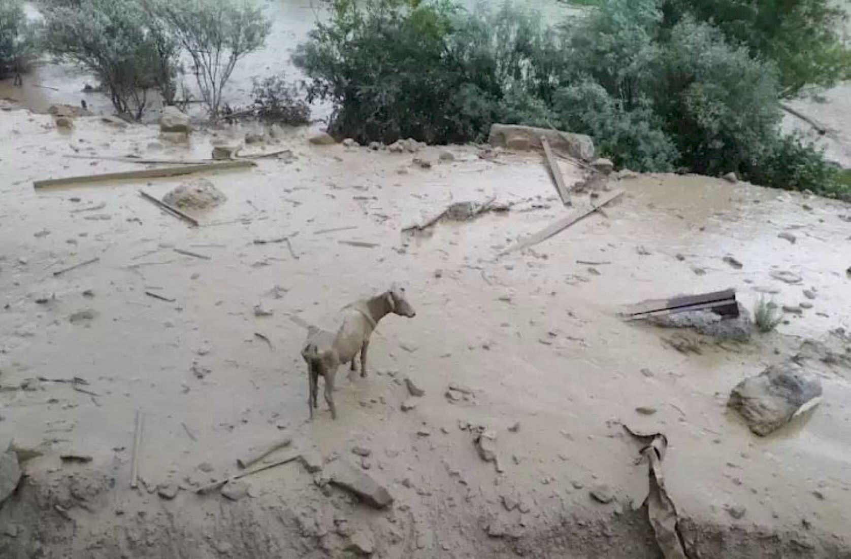 Five Killed In Mudslide In Kyrgyzstan
