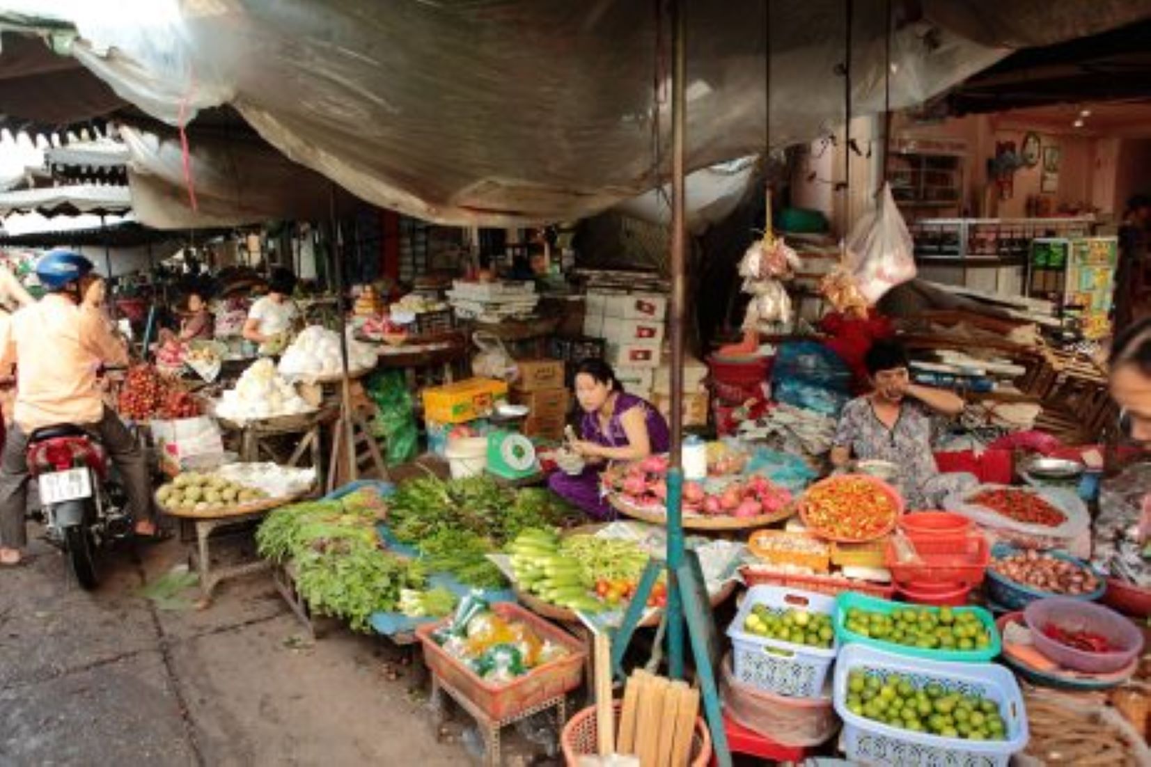 ASEAN Makes Strides In Enhancing Food Security