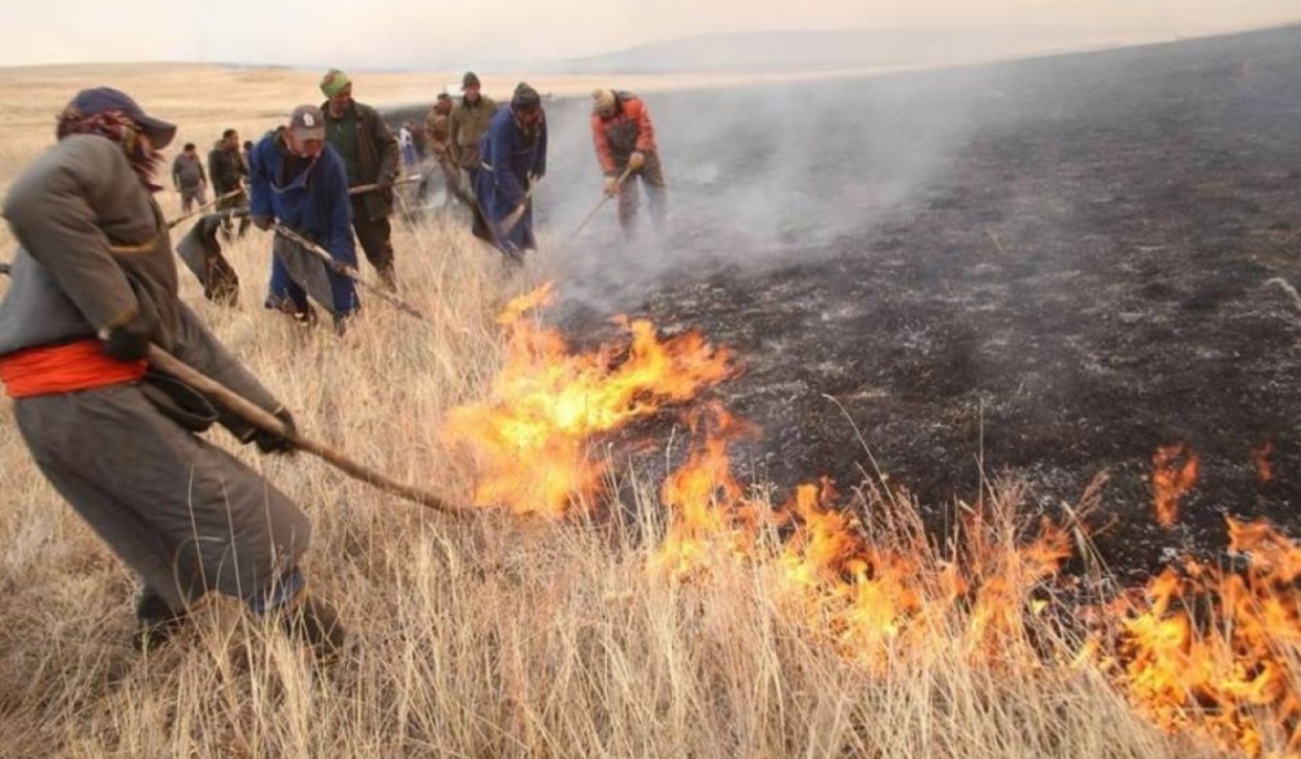 Wildfires Ravage 685,500 Hectares Of Land In Mongolia This Year