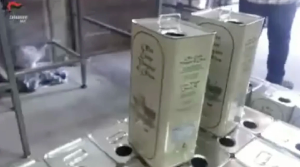 Italian authorities confiscate almost $1 million in fake olive oil