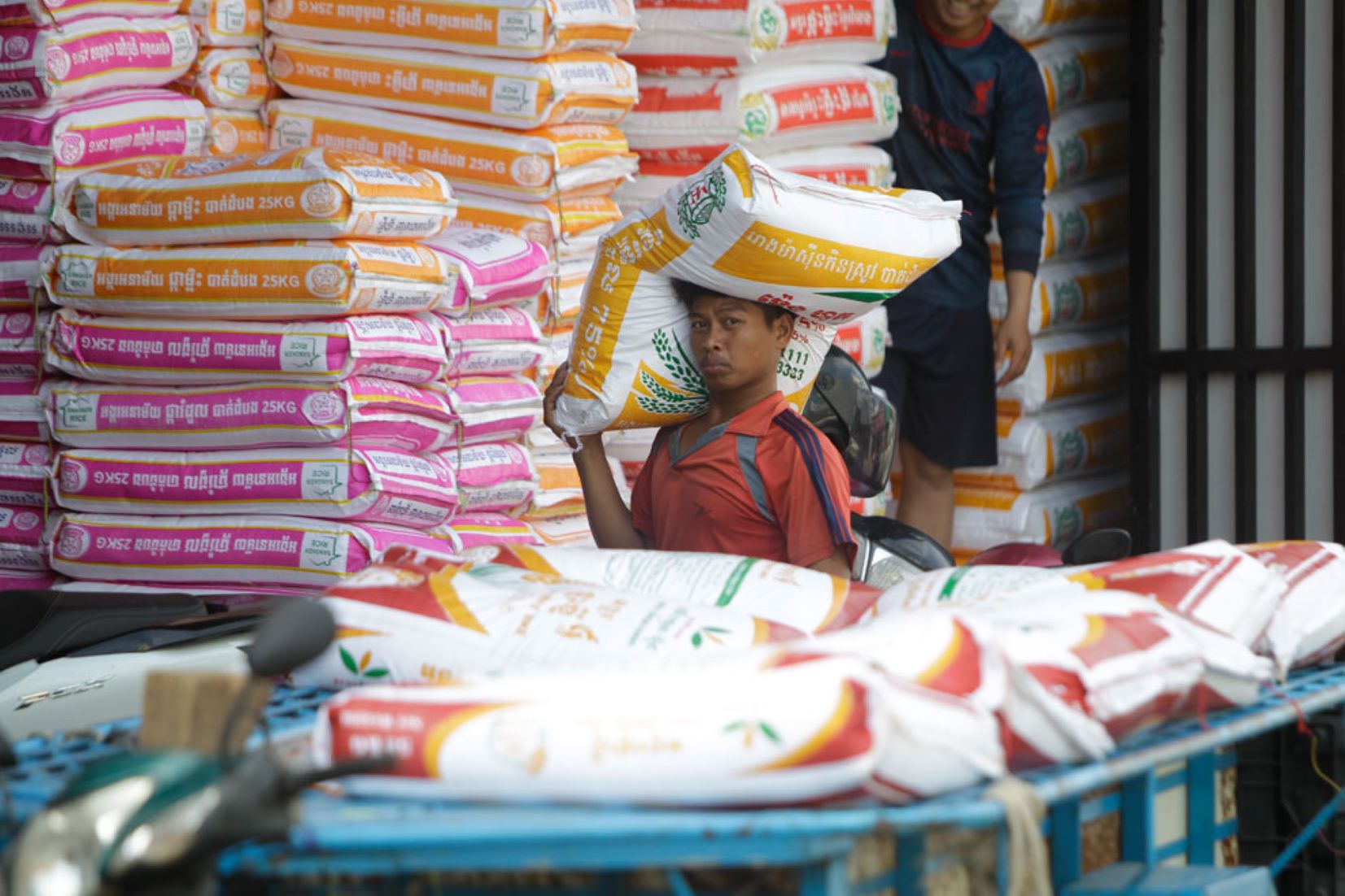 Cambodia Earns Over 247 Million USD From Milled Rice Export In H1 2024