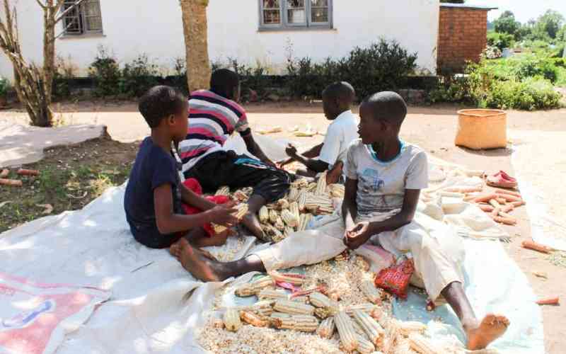 Malawi: 4.2 mln face hunger – report