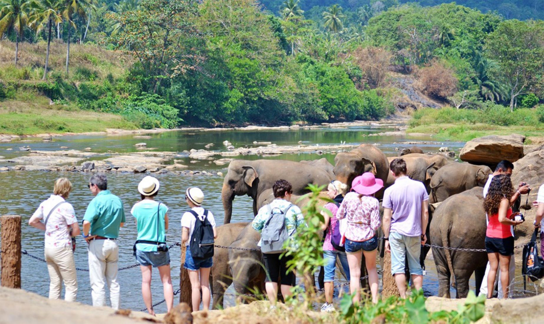 Sri Lanka Expects Significant Increase In Tourists Visiting Nature Reserves This Year