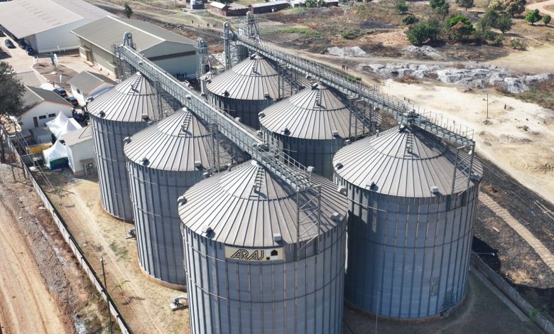 Tanzania aims at mega food storage