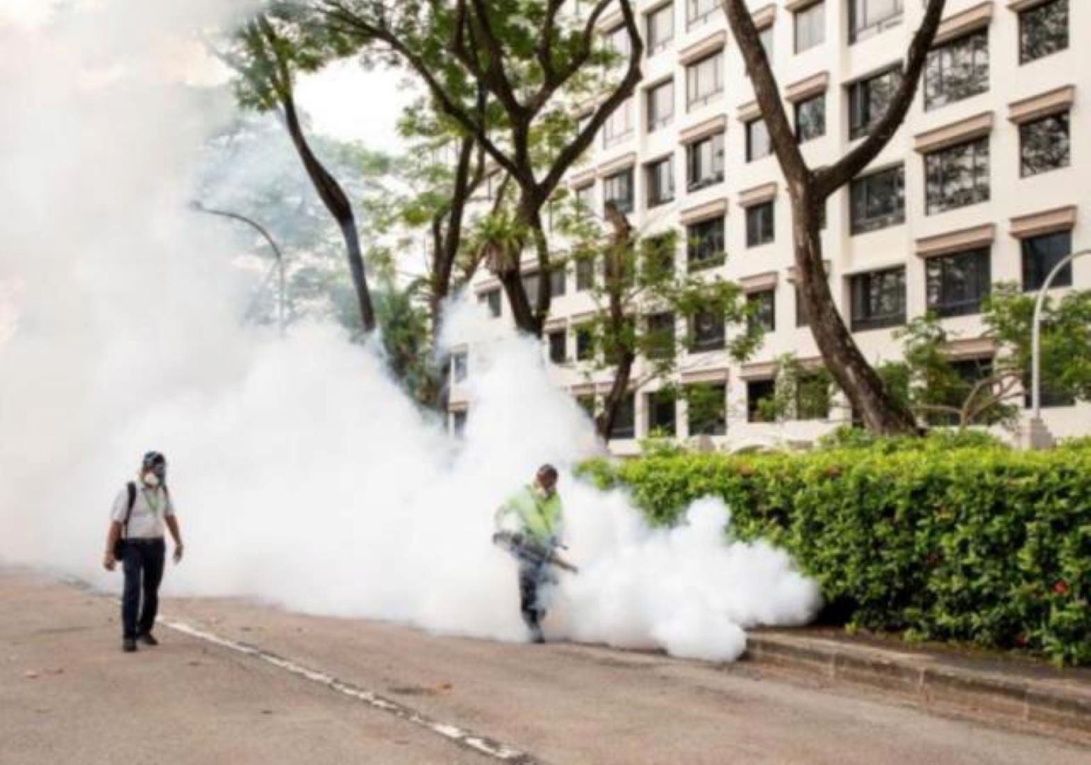 Singapore Dengue Cases Exceed 10,000 This Year