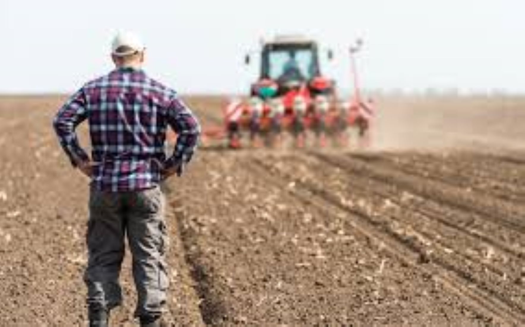 New Zealand Farmers Suffer Low Confidence Due To High Cost