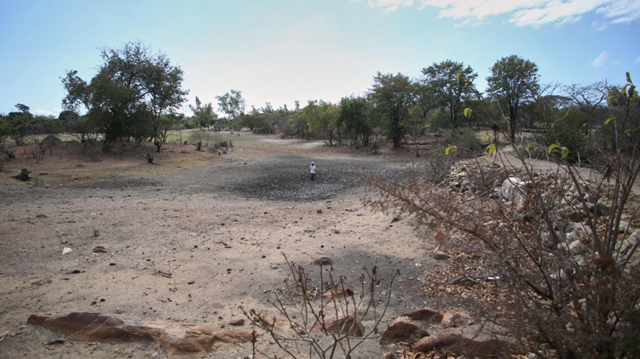 Zimbabwe: Meals dry up as drought bites