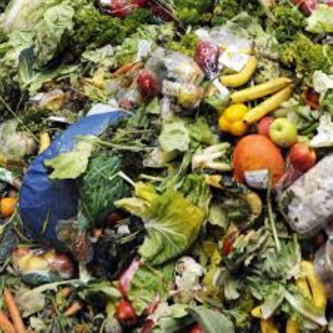 Australians Waste Over Seven Million Tonnes Of Food Every Year: Report