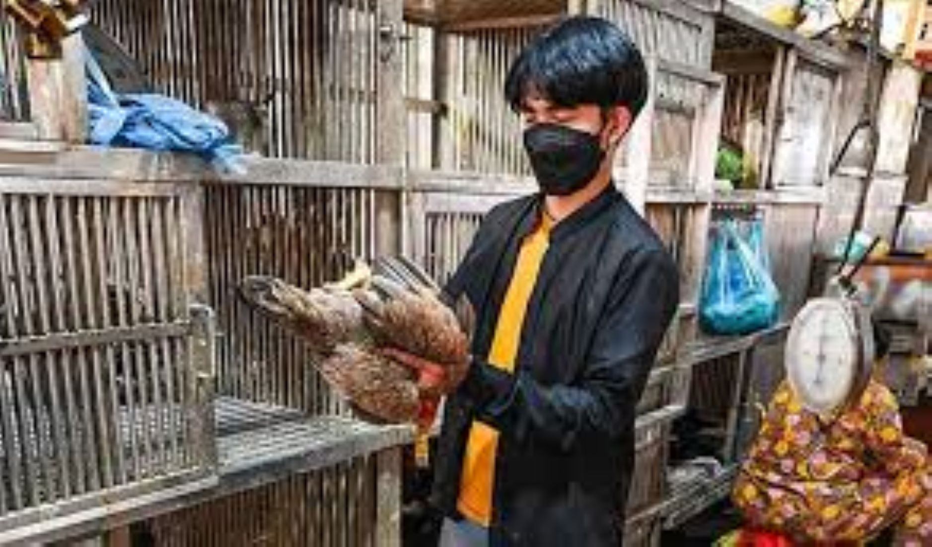 3-Year-Old Boy In Cambodia Contracts H5N1 Bird Flu