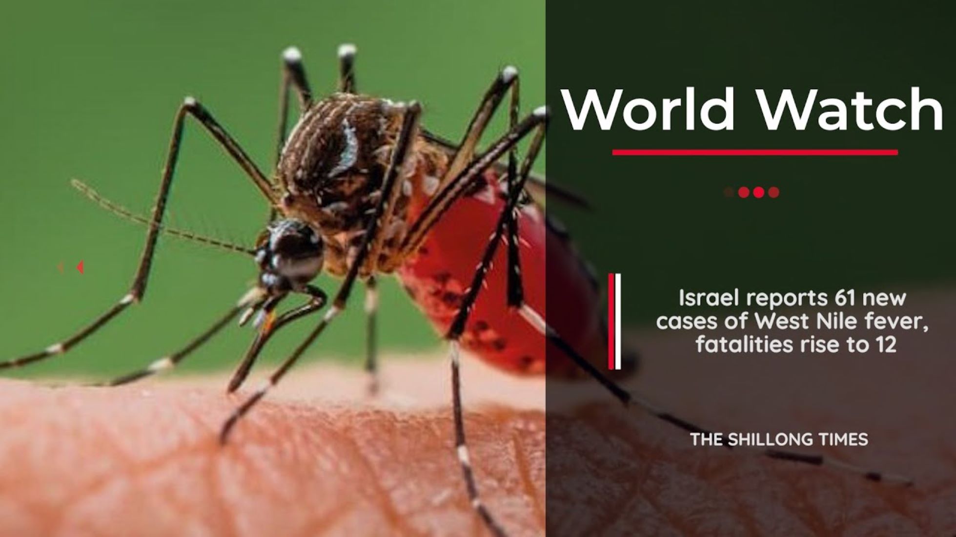 Deaths From West Nile Fever In Israel Surge To 31 With 12 New Fatalities