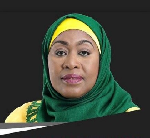 Tanzania: Pres Samia Suluhu pushes for diligence, common sense in newly appointed ministers