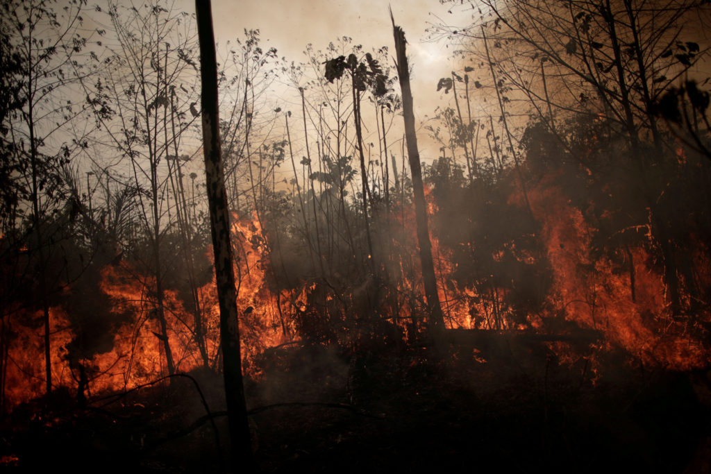 Brazilians ‘struggling to breathe’ as Amazon burns