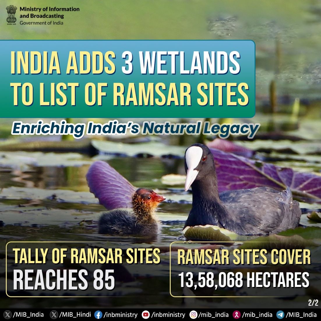 India Adds Three Wetlands To Ramsar Sites List, Taking Tally To 85