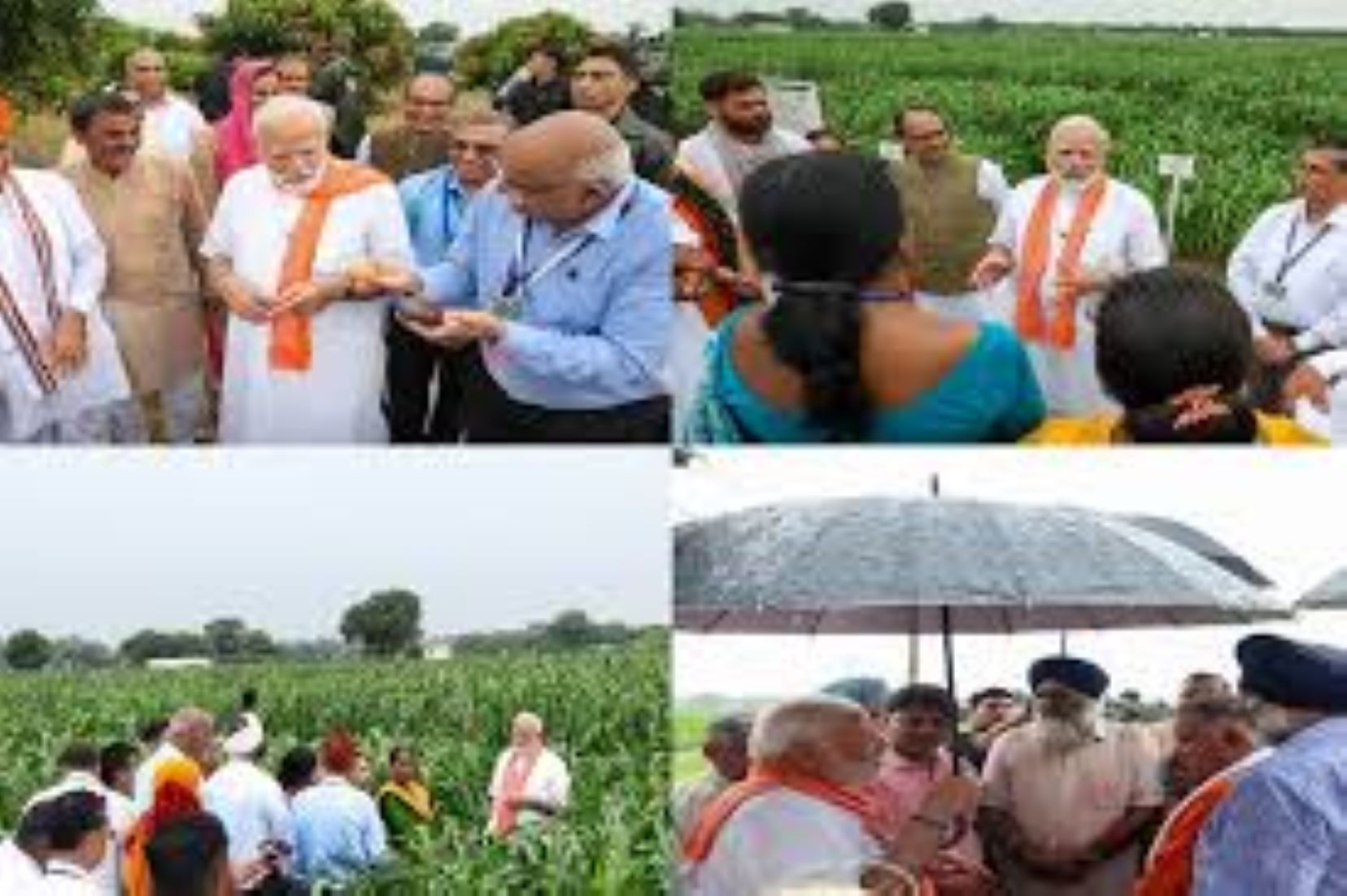 Indian PM Releases 109 High-Yielding, Climate-Resilient Crop Varieties