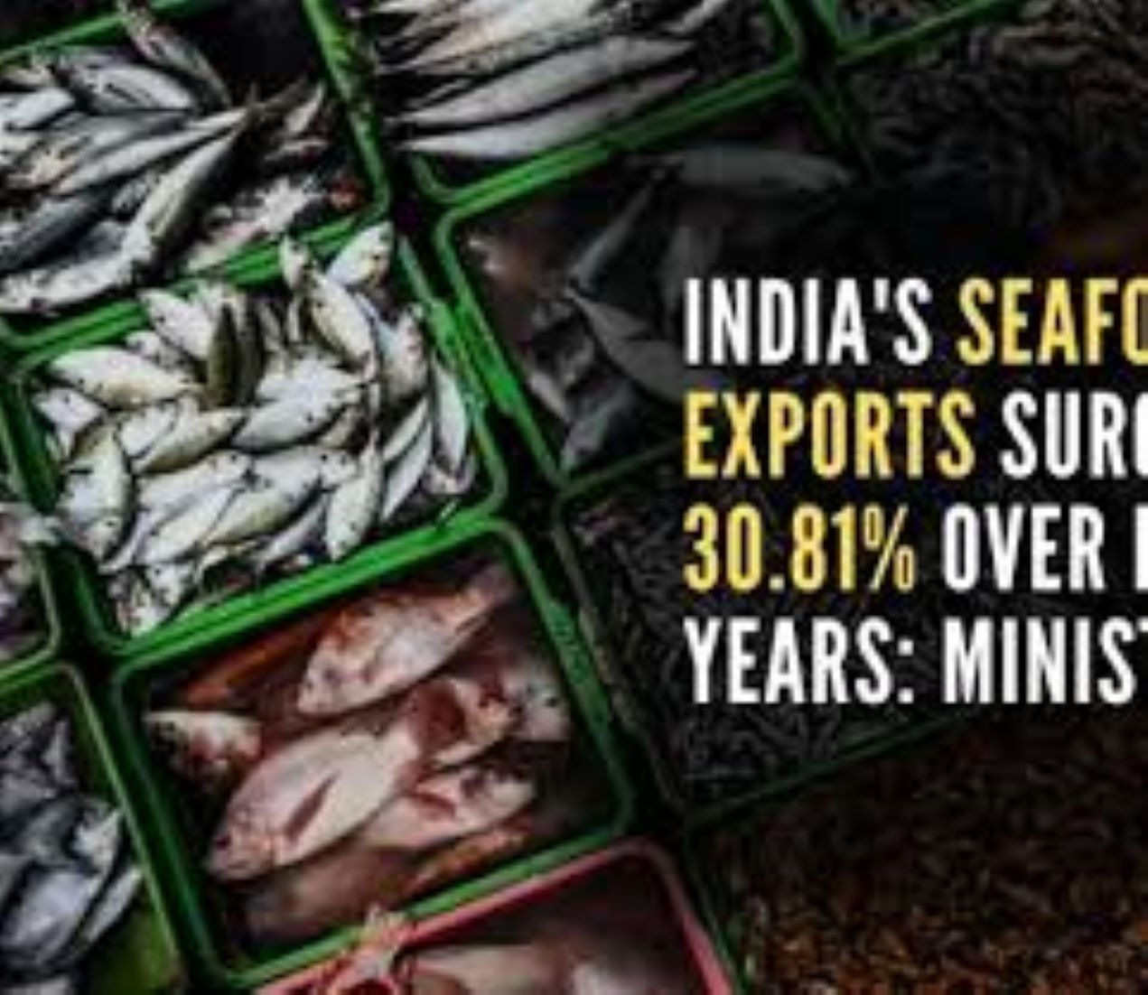 India’s Seafood Exports Grew Over 30 Percent In Five Years