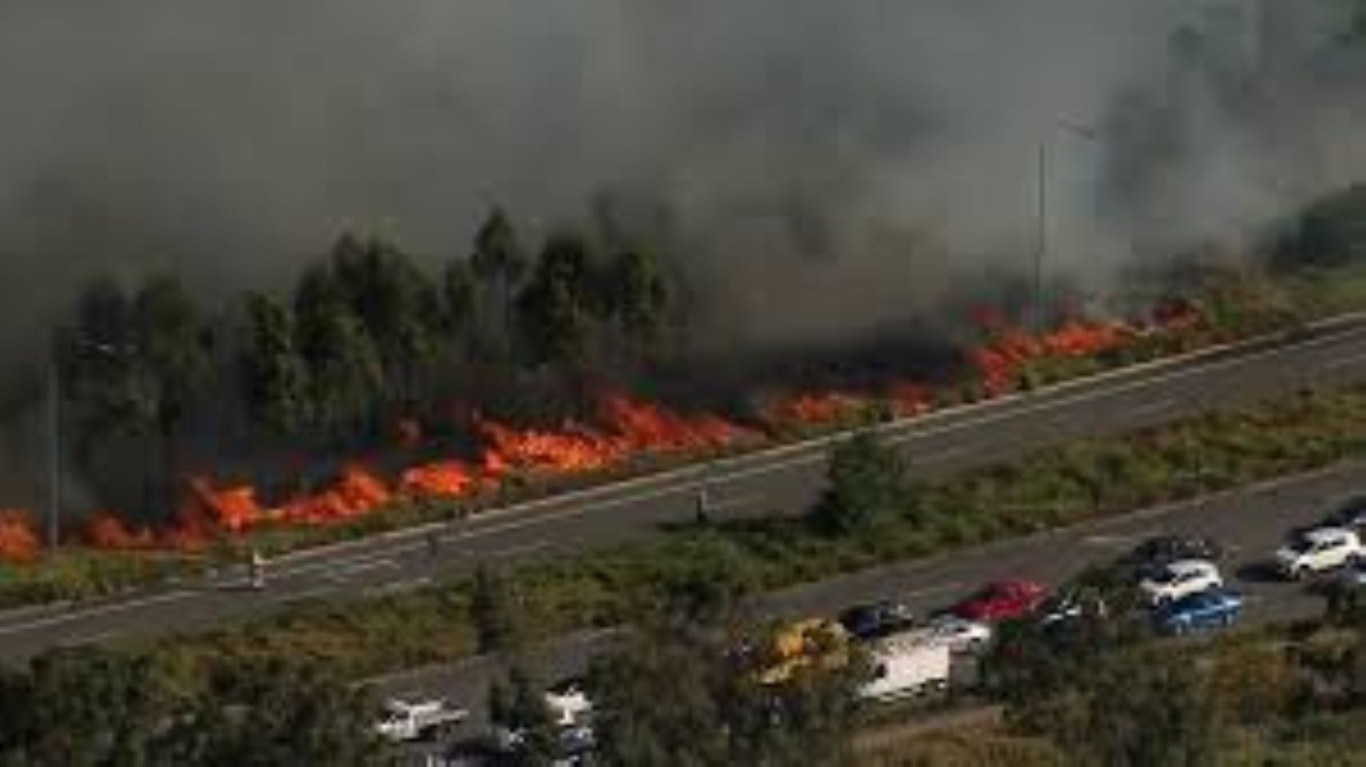 Major Grass Fire Under Control After Threatening Homes In Sydney