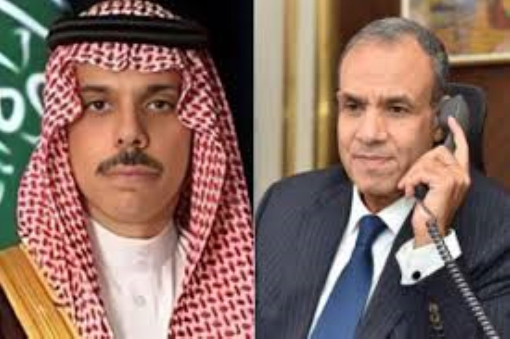 Egyptian, Saudi FMs Discussed Regional Escalations